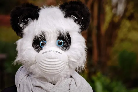 СилвърПлей Казино Поддръжка